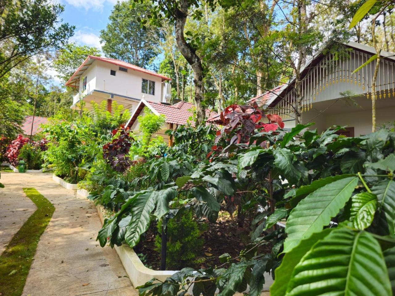 Coorg Orange Blossom Resort And Spa Suntikoppa Exteriör bild