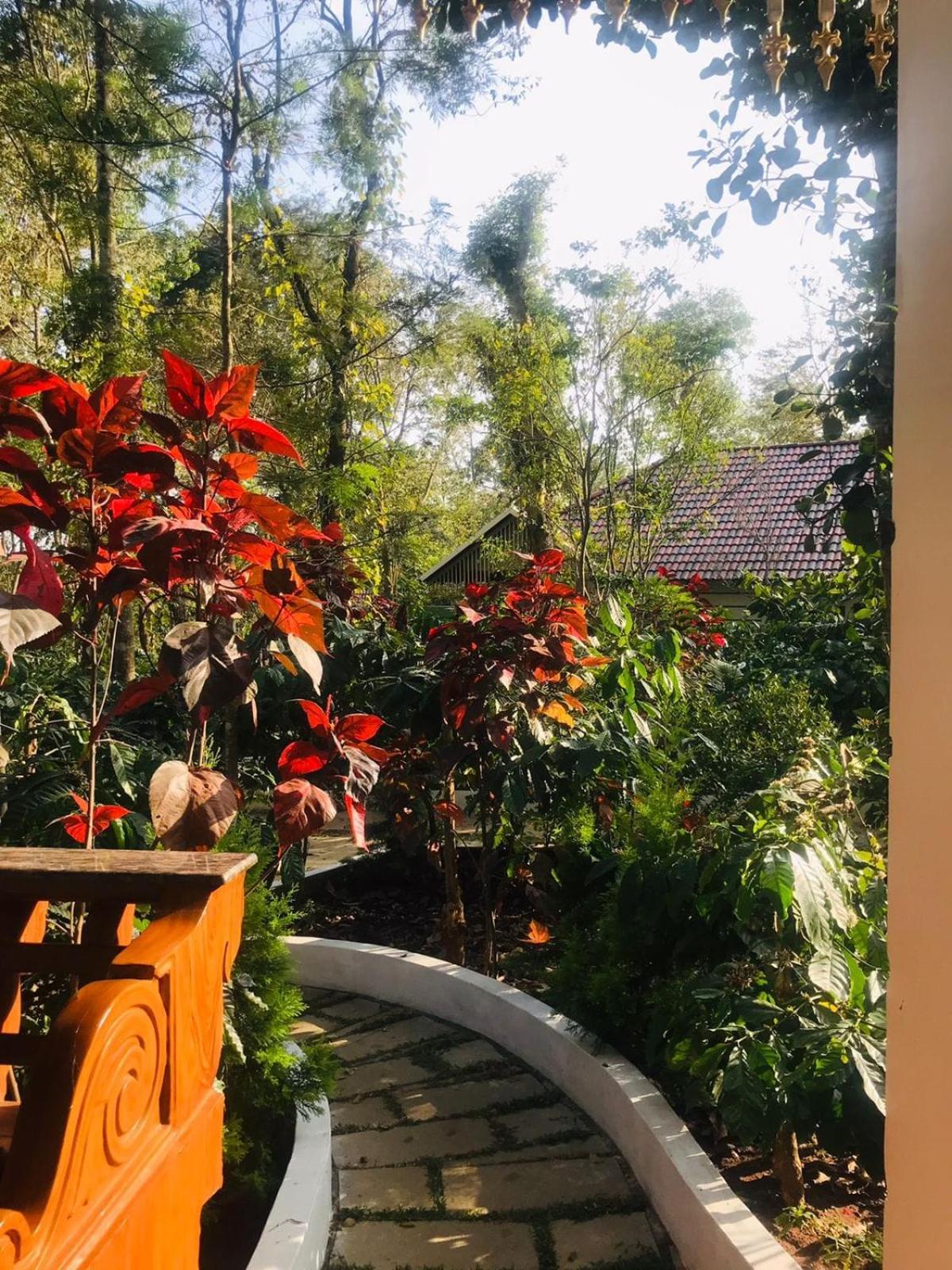 Coorg Orange Blossom Resort And Spa Suntikoppa Exteriör bild